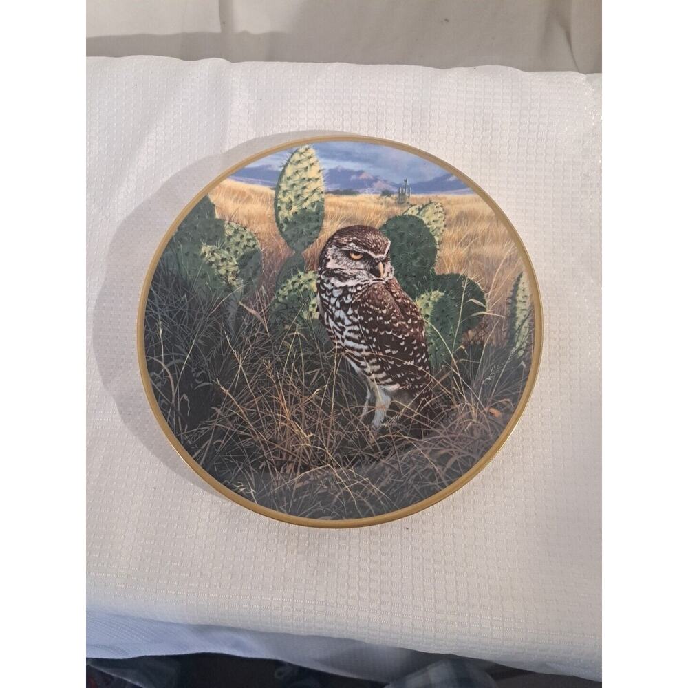Hamilton Collection "Morning Mist" Noble Owls of America Collector's Plate
